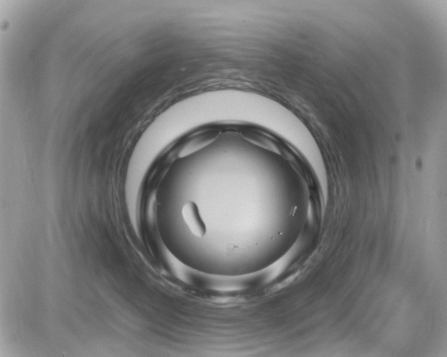 X0000082180382200701191246
