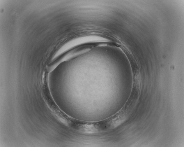 X0000082180406200701191245