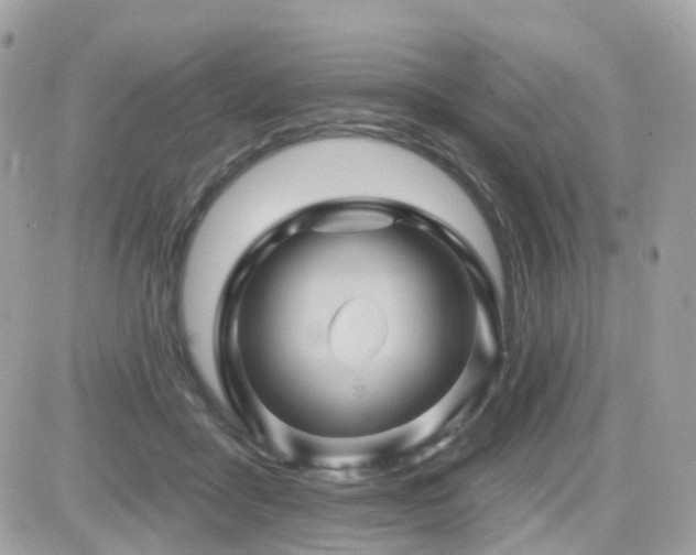 X0000082180411200701191245