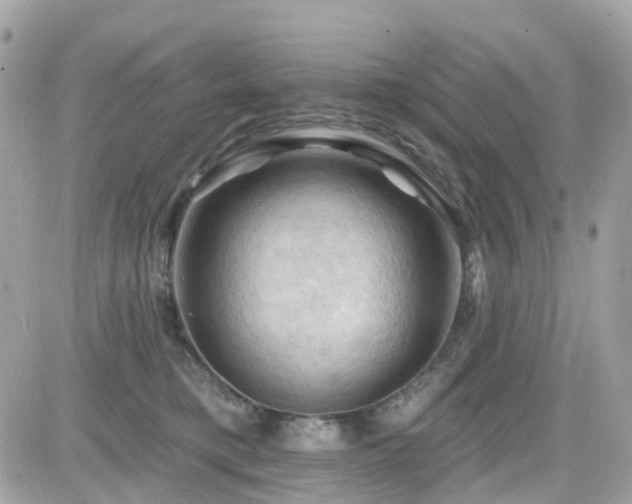 X0000082180421200701191245