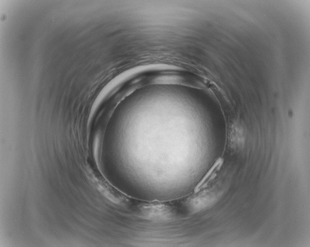 X0000082180428200701191245