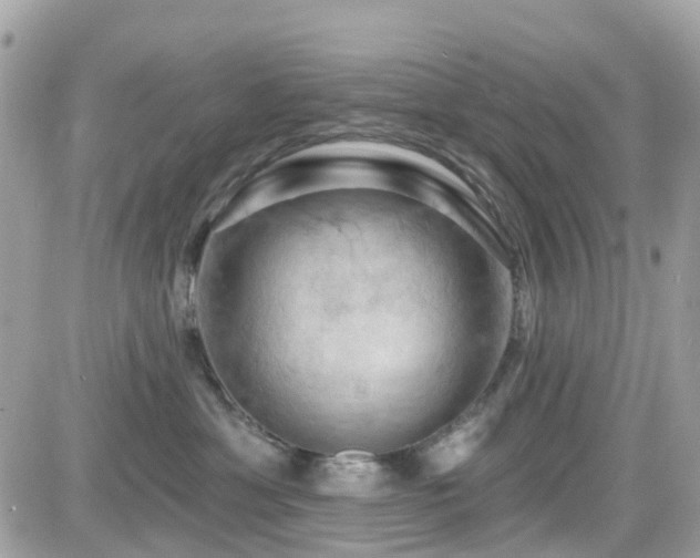 X0000082180429200701191245