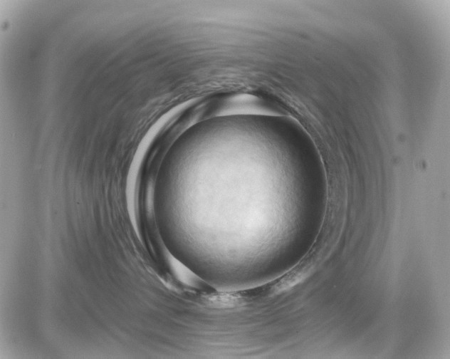 X0000082180432200701191244