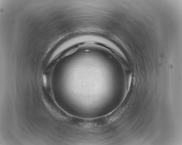 X0000082180448200701191244