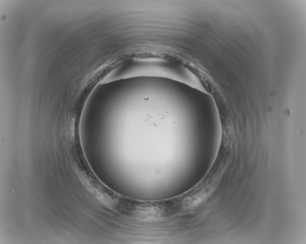 X0000082180454200701191244