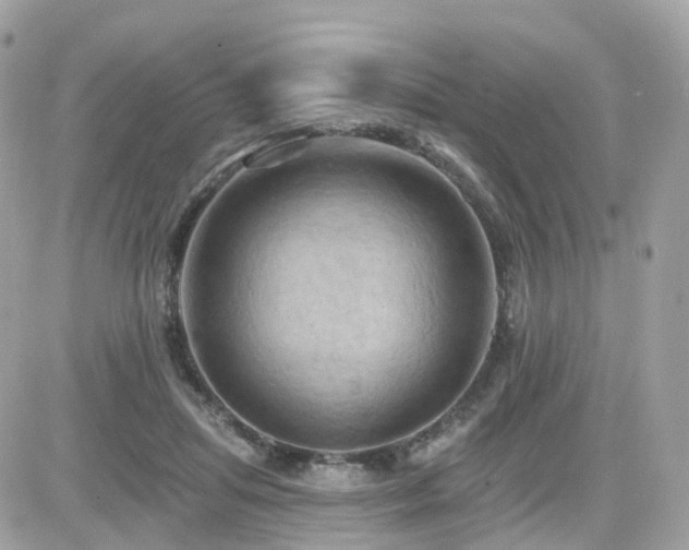 X0000082180455200701191244
