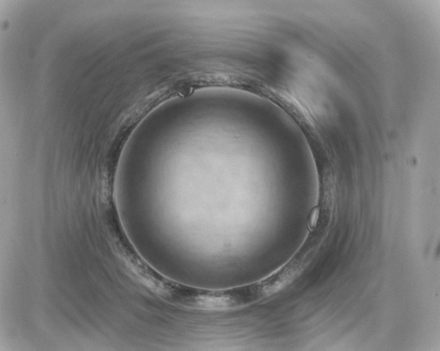 X0000082180457200701191244