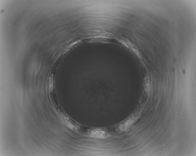 X0000082180471200701191244