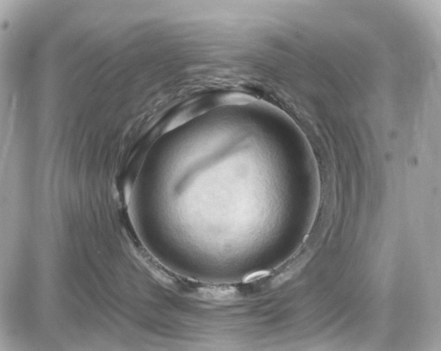 X0000082180480200701191244