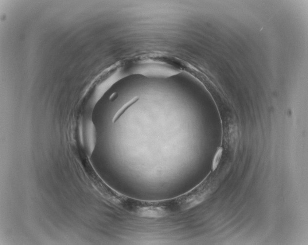 X0000082180508200701191243