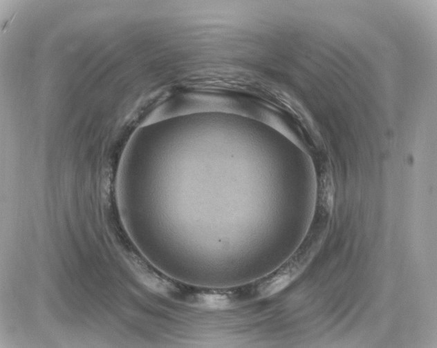 X0000082180509200701191243