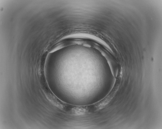 X0000082180512200701191243