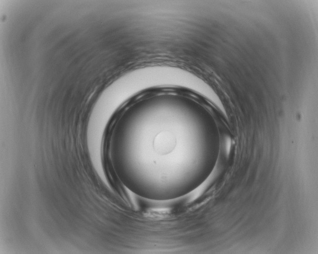 X0000082180516200701191243