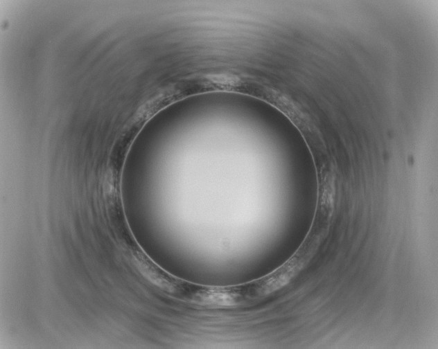X0000082180518200701191243