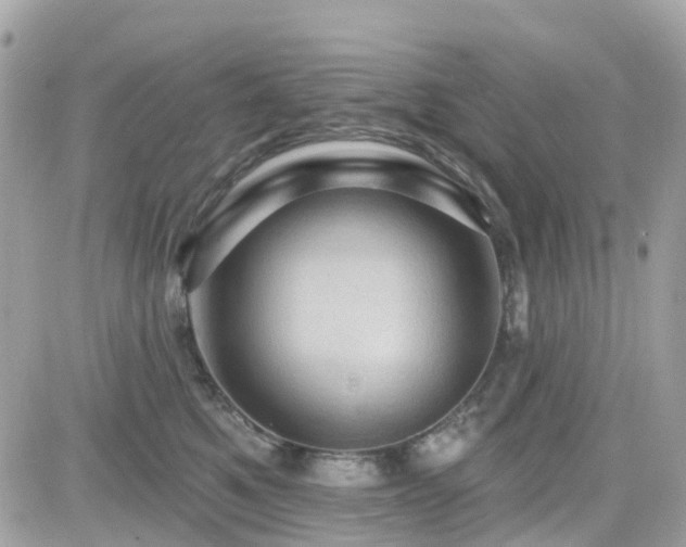 X0000082180521200701191243