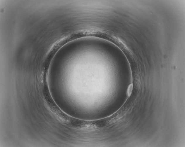 X0000082180543200701191242