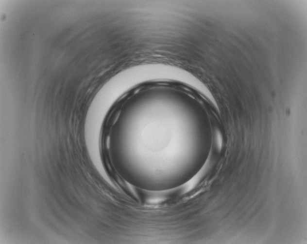 X0000082180566200701191243
