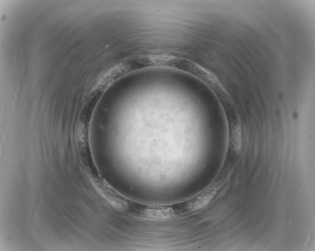 X0000082180571200701191243