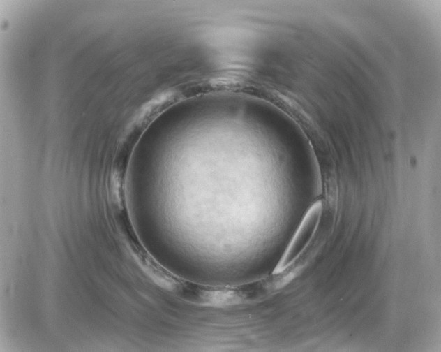 X0000082180575200701191243