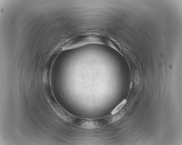 X0000082180611200701191242