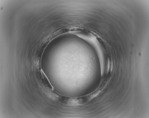 X0000082180613200701191242
