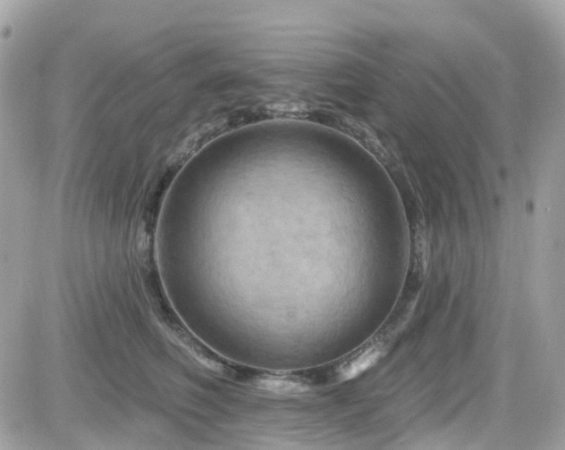 X0000082180614200701191242