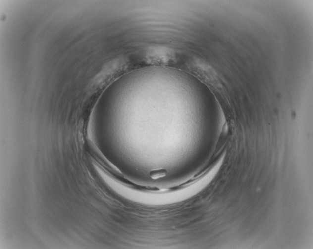 X0000082180616200701191241