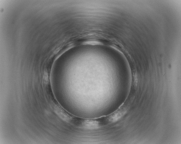 X0000082180617200701191241
