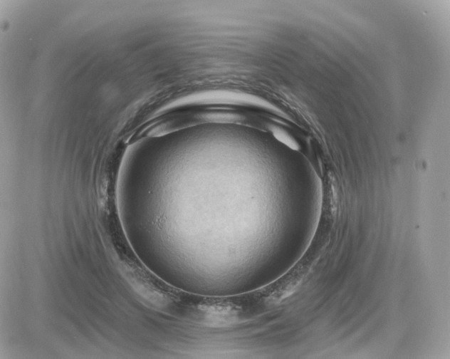 X0000082180693200701191240