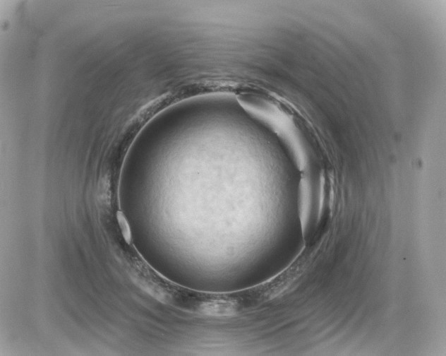 X0000082180700200701191240