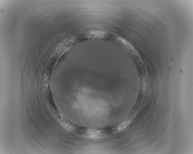 X0000082180701200701191240