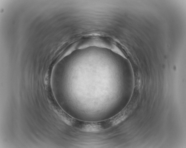 X0000082180708200701191240