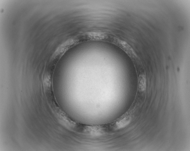 X0000082180713200701191240