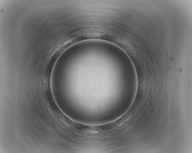 X0000082180743200701191239
