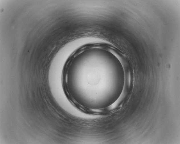 X0000082180752200701191240