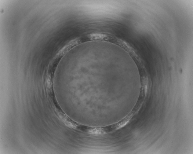X0000082180761200701191240