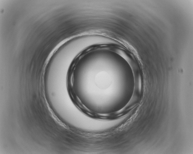 X0000082180792200701191239