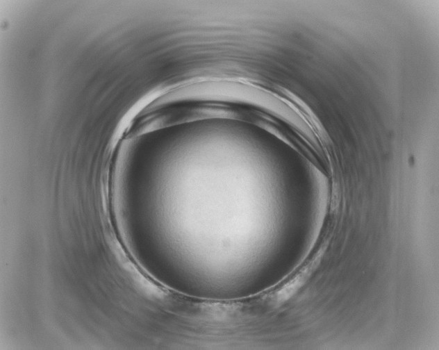 X0000082180812200701191238