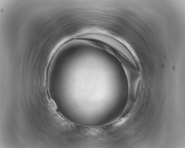 X0000082180815200701191238