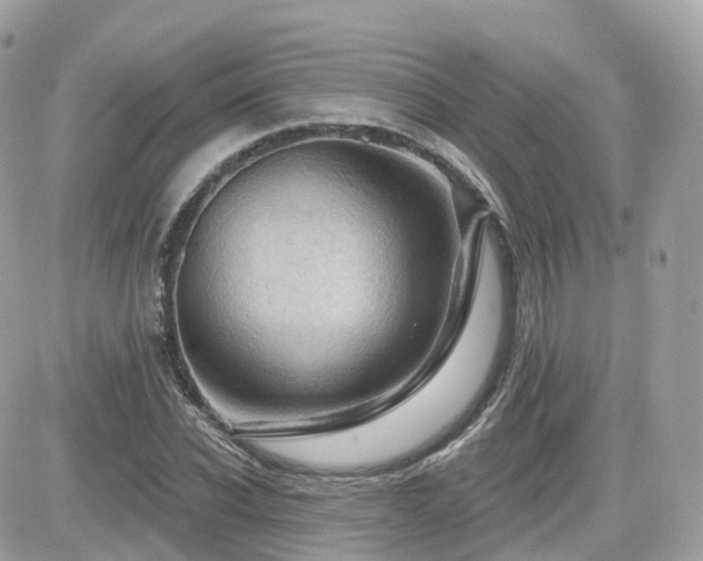 X0000082180926200701191236