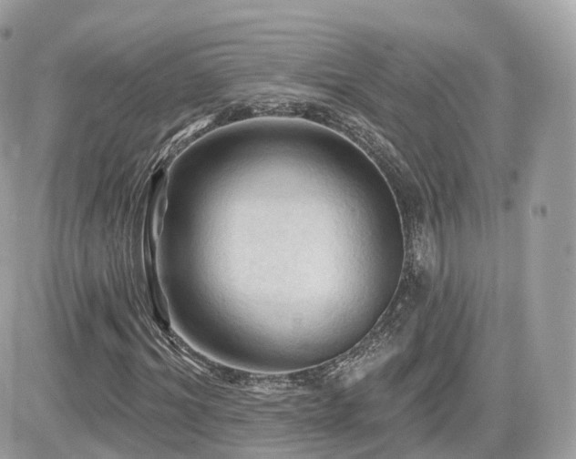 X0000082180964200701191236