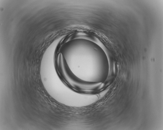 X0000082180965200701191236