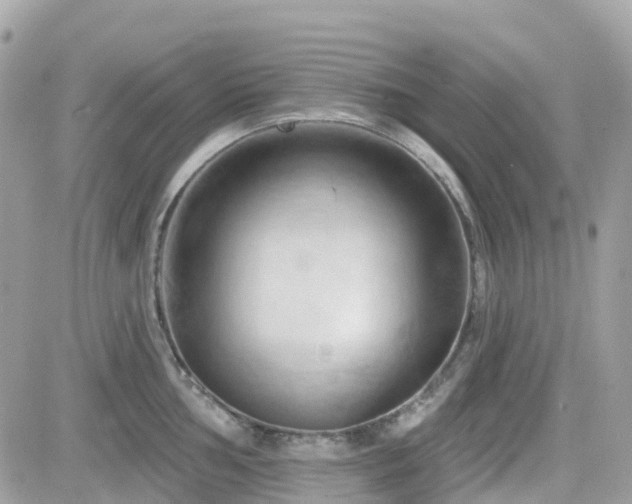 X0000082181002200701191235