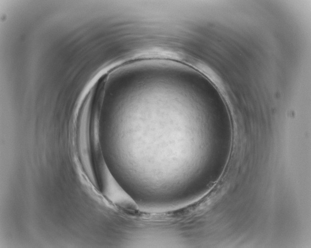 X0000082181008200701191235