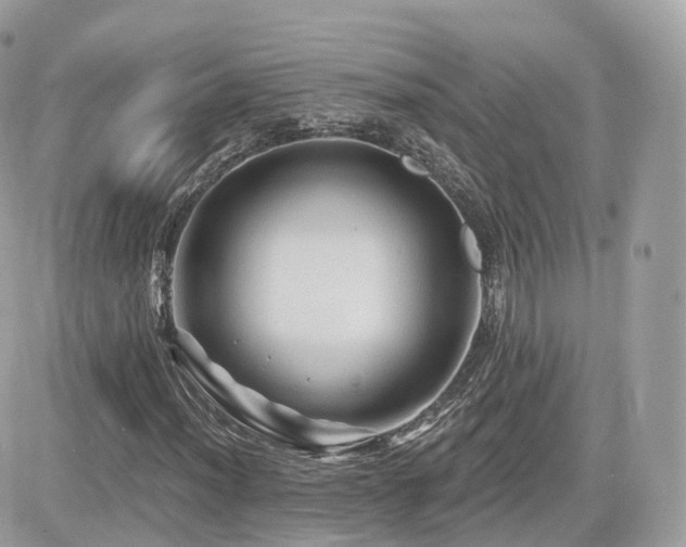 X0000082181012200701191234