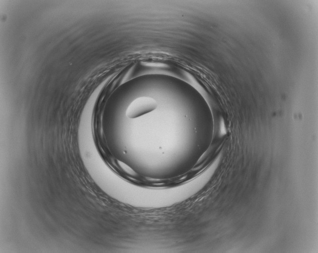 X0000082181014200701191234