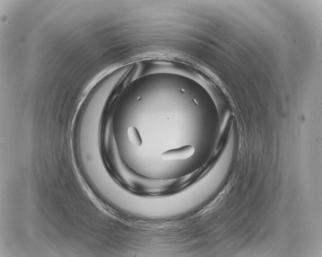 X0000082181034200701191235