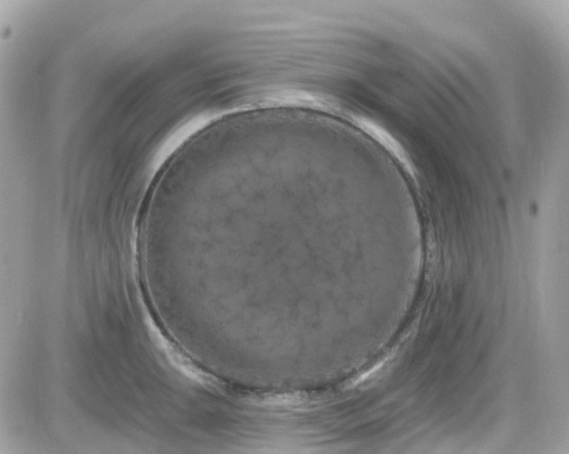 X0000082181047200701191235