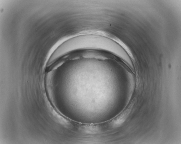 X0000082181102200701191234