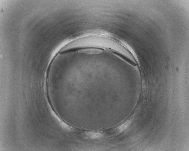 X0000082181103200701191234
